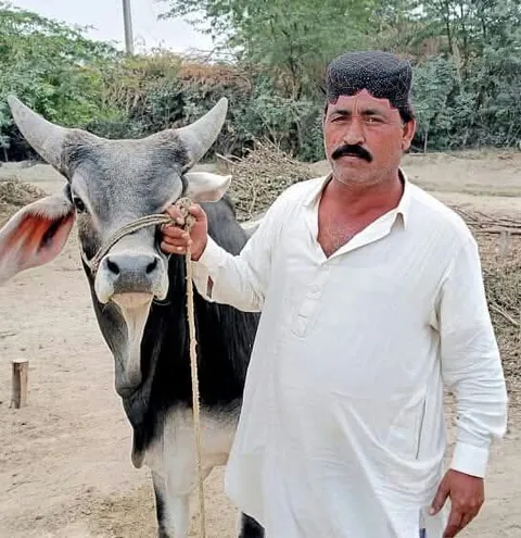 Dhatki cultural picture